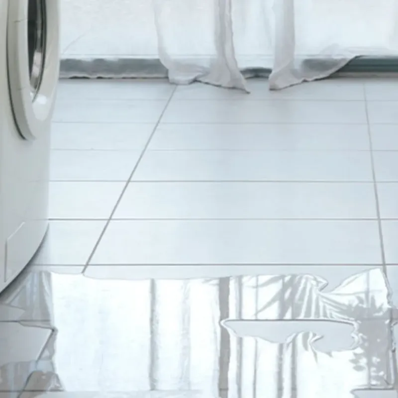 Appliance Leak Cleanup in Spring Lake, MI