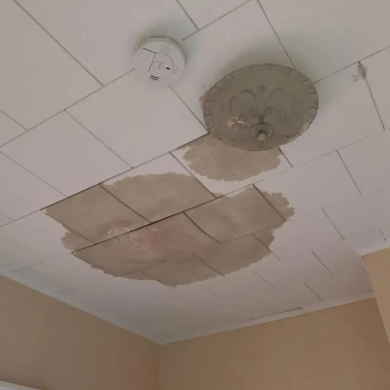 Ceiling Water Damage Repair in Spring Lake, MI