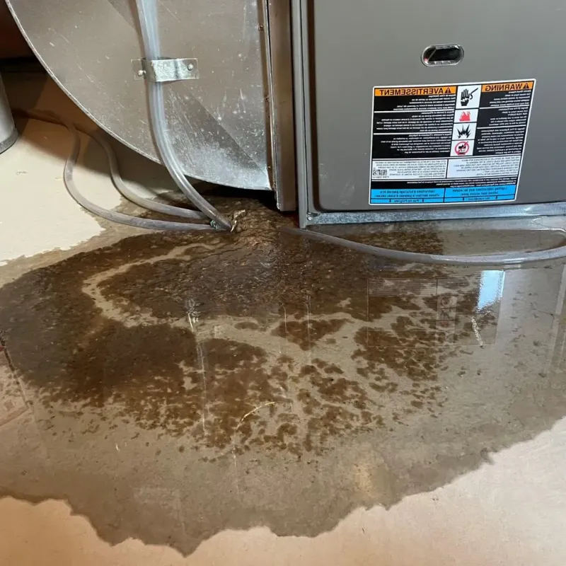 Pipe Burst and Leak Restoration in Spring Lake, MI