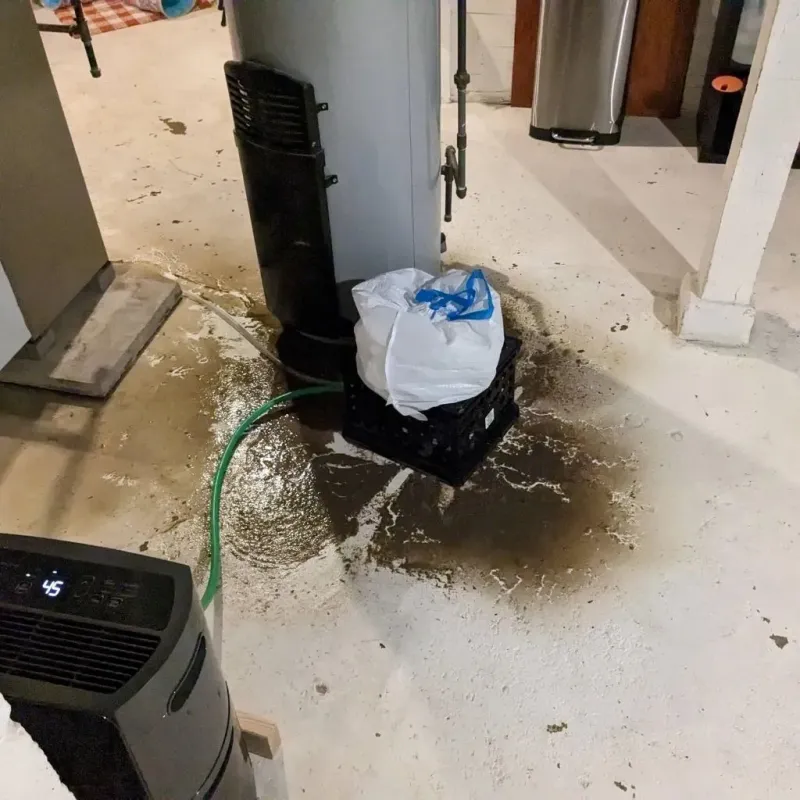 Sewage Backup Cleanup Service in Spring Lake, MI
